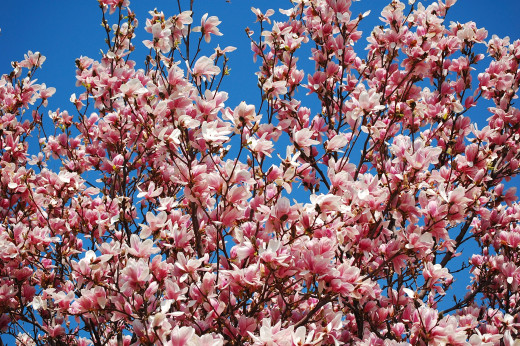 639668 (a): :2550x1695